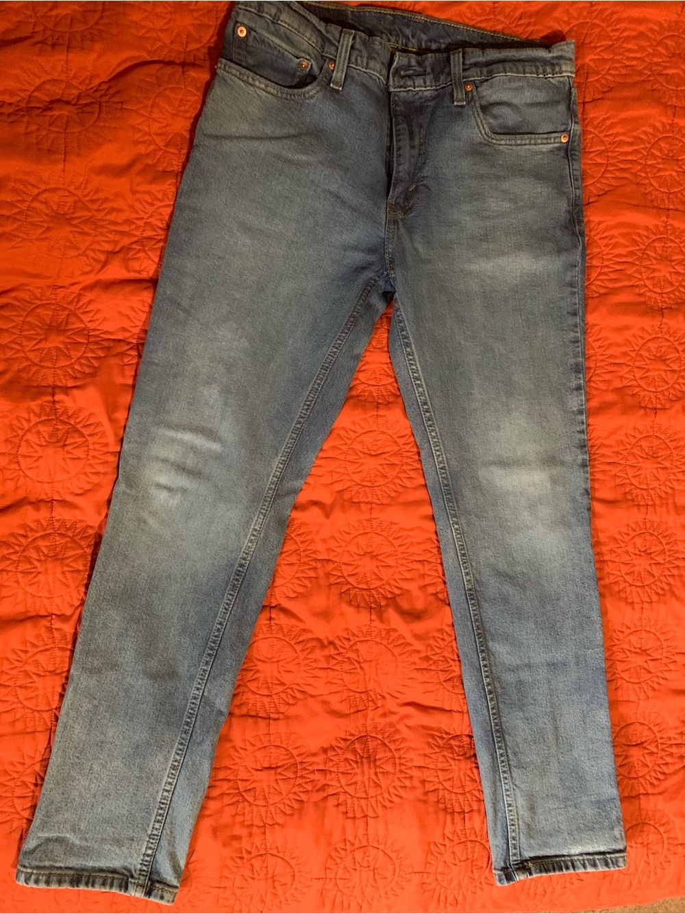 Levi's 511 Jeans in Washed Blue